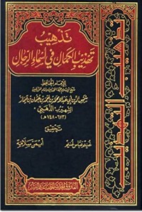 كتاب تذهيب تهذيب الكمال في أسماء الرجال ج9